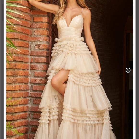 Sherry Hill champagne prom dress - Picture 2 of 4